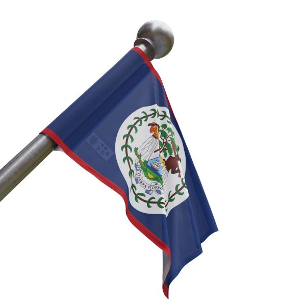 Belize Flag - Image 8