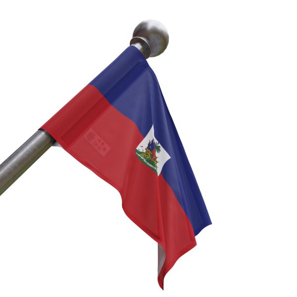 Haiti Flag - Image 8