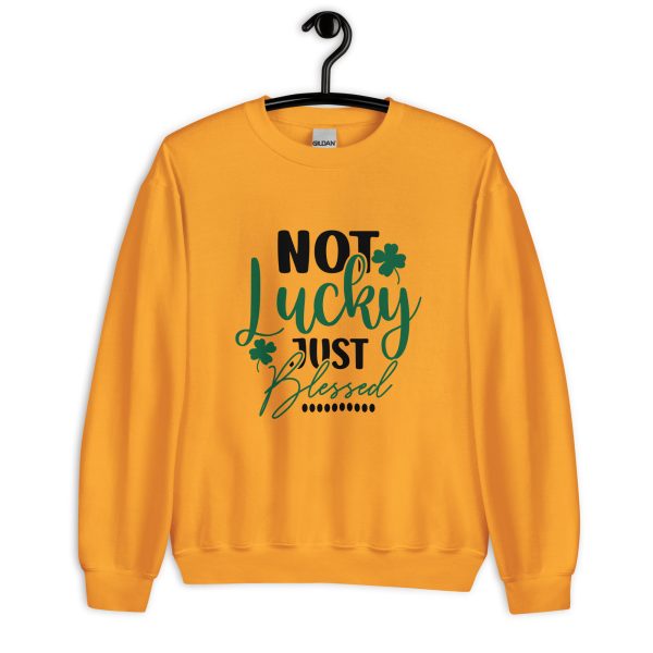 I"m not lucky just blessed Sweatshirt - Image 3