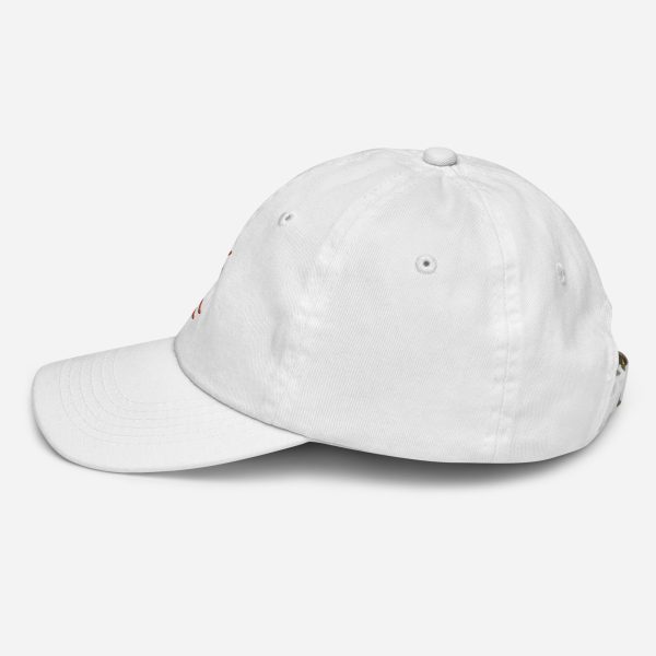 Ant Hill Youth baseball cap - Image 52