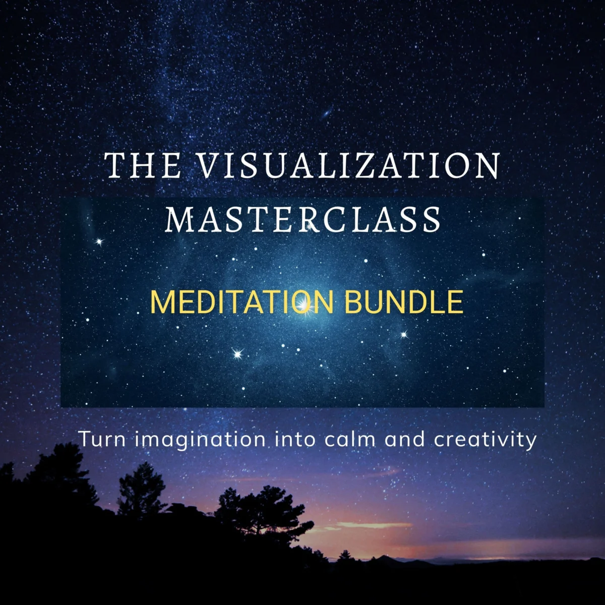The Visualization Masterclass bundle